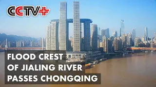 Flood Crest of Jialing River Passes Chongqing