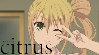 Normal Between Siblings | citrus