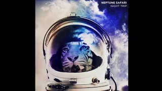 Neptune Safari - Morning Sun (Funk LeBlanc Remix)