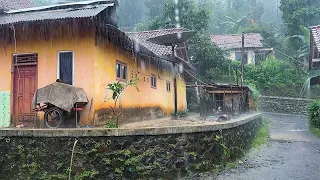 Heavy rainfall in beautiful indonesian rural||very strong and heavy||3 hours rain video