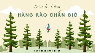 Cùng sống xanh số 81: Làm hàng rào chắn gió Lào để trồng rau xứ lạnh