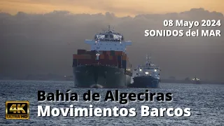 1.5 horas de Movimientos de los Barcos Bahia Algeciras, 08 Mayo 2024