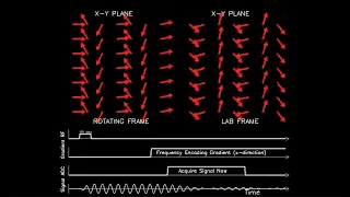 MRI: Physics and Image Creation - Frequency Encoding Concept (Part 14/18)