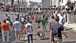 TORO EMBOLADO VEJER DE LA FRONTERA (17-4-22)