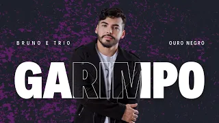 Bruno e trio - Garimpo [Versão] [Pré-Master]