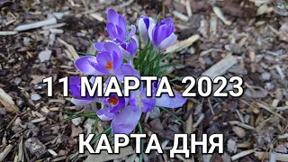 11 марта 2023 | карта дня | все знаки зодиака 🃏🍀💫