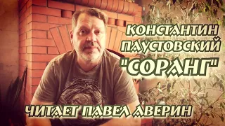 Константин Паустовский Соранг читает Павел Аверин