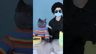 When You're Ready, Sadly You're Blind😱😥| Funny Cat TikTok Challenge  #funnycat #funnyoscar #shorts