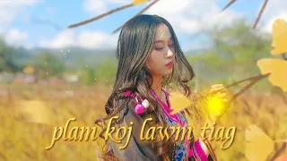 Plam Koj Lawm Tiag//Cover// original: JN Vang