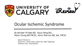 Ocular Ischemic Syndrome