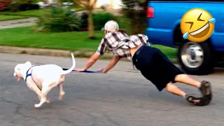 Funny Dogs And Cats Videos 2023 😅 - Best Funniest Animal Videos Of The Month #9