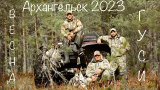 Охота на гуся в Архангельской области с кулинарным уклоном.  Весна 2023