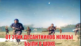 От десантников немцы были ли они тогда в шоке.