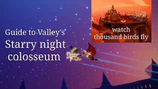 SKY Valley starry night oob | thousand birds children of light #cotl #光遇 #skygame #starfieldmemorial