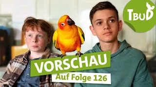 Trailer: Ein geschicktes Paar (Folge 126) | Tiere bis unters Dach | SWR Plus