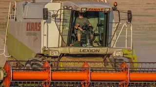 Sklizeň pšenice🌾🚜Claas Lexion 450 Evolution & Claas Lexion 460 Evolution