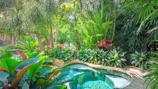 AMAZING TROPICAL GARDEN | MODERN HOUSE TROPICAL PLANTS IDEAS (2)