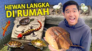 KONDISI HEWAN LANGKA DI RUMAH AKU KOK JADI BEGINI?!