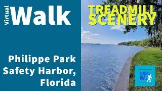 Take a walk from Tampa Bay’s Philippe Park, Safety Harbor, Florida [Treadmill Scenery, Virtual Walk]