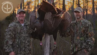 CUTTING HARD for a PAIR OF OSCEOLA GOBBLERS | TURKEY HUNTING the SWAMP | CALLING WAY TOO MUCH