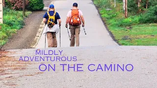 Mildly Adventurous on the Camino de Santiago