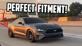 I LOWERED MY 2019 MUSTANG GT! EVERY MUSTANG OWNER NEEDS THIS!