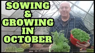 Sowing & Growing In October 2023 [Gardening Allotment UK] [Grow Vegetables At Home ]