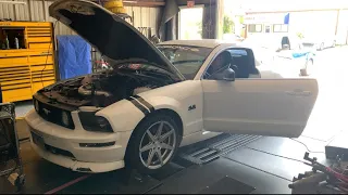 Devon puts his 3V MUSTANG on the DYNO 🇺🇸 INSANELY LOUD & CAMMED!! Can he hit 400whp NA???