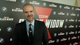 David Harbour, Black Widow World Premiere Fan Events NY