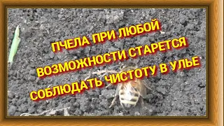 В ОМШАНИКЕ НЕТ НЕОБХОДИМОСТИ.