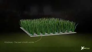 XtraGrass -  best of both worlds