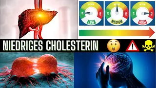 ☠️ DIESE GEFAHREN erwarten dich bei einem niedrigen Cholesterin Wert!