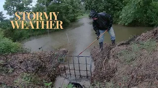 Beaver Dam Removal in a Thunderstorm | Culvert Unclogging