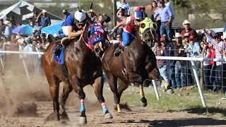 Carreras de Caballos en Cumpas 16 de Marzo 2019