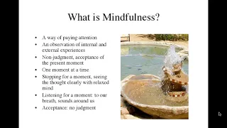 Georgiana Lotfy  Mindful Meditation for Bi Polar Disorder  Can It Help  11 7 13 8 46 AM
