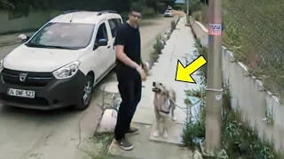 This Man Abandoned His Loyal Dog. What Happened Next Will Make You Cry...