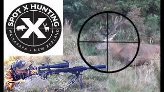 35 HUNTING KILL SHOTS - Spot X Hunting New zealand