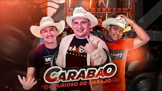 CD FURIOSO CARABAO AO VIVO NA VIA SHOW - DJ TOM MÁXIMO (20-08-2023)