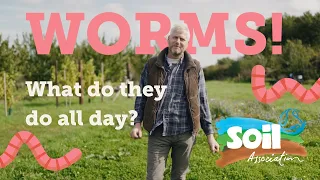 What do worms do all day? | Soil Association
