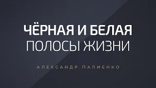 Чёрная и белая полосы жизни. Александр Палиенко.