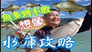 魚多到背不回家!!你可能不知道這個地方原來可以釣魚!!餵老鷹 露營 釣魚 餵山豬根本是實境秀!!