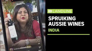Aussie premium wine producers target India's changing drinking culture | Landline