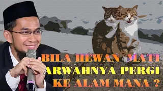 Apakah Hewan Punya Arwah, Bila Mati Pergi Ke Alam Mana ?