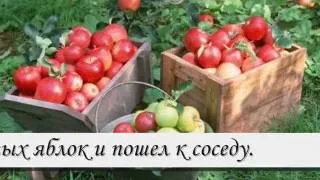 Ведро яблок.wmv