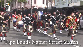 Pipe Bands in Napier Street March at NZ Championships