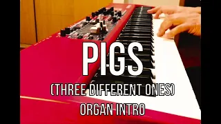 Pigs (Three different ones) Intro - Pink Floyd Cover