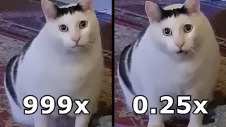 Huh Cat, but it's 0.25x vs 999x speed