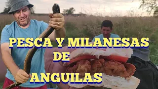 Pescamos e hicimos milanesas de anguilas en Pesca en agua dulce