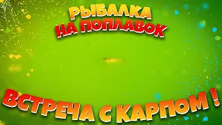 Рыбалка на поплавок и ВСТРЕЧА С КАРПОМ! #рыбалка2022 #ловлякарпа