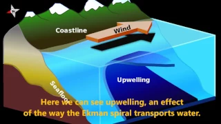 Hansen, Ekman's Spiral and the effects of Ekman Transport